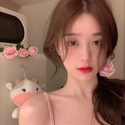 恐龙战队第三季